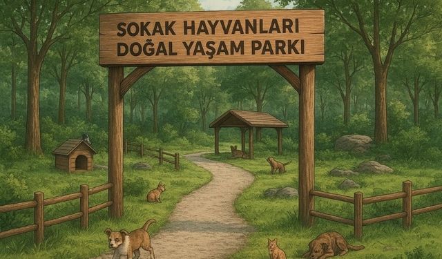 Kahramanmaraş Türkiye’de bir ilke imza attı