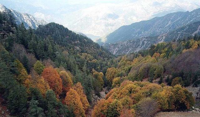 Kahramanmaraş’ta Sonbaharın Tadı Burada Çıkıyor