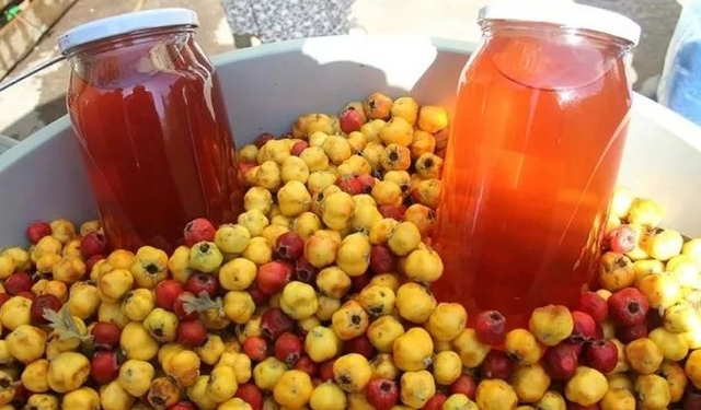 Kahramanmaraş’ın şifalı alıç sirkesi kalbe iyi geliyor