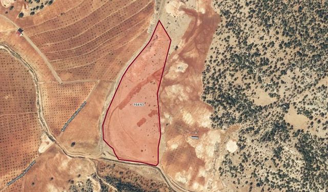 Kahramanmaraş’ta 48 dönümlük tarlanın yarı hissesi satışa çıktı