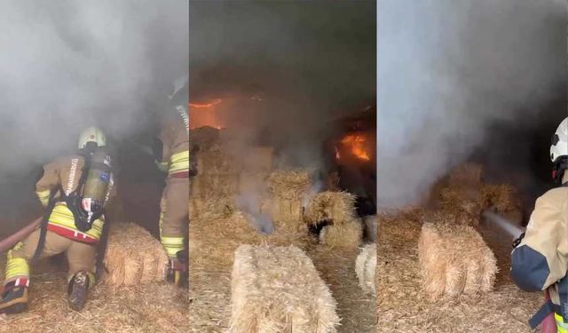 Kahramanmaraş’ta samanlık alev aldı, facianın eşiğinden dönüldü