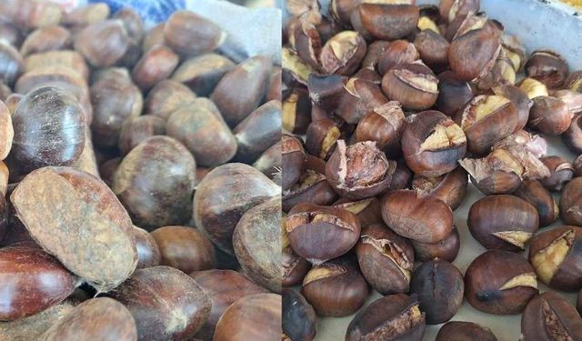 Kahramanmaraş’ta kestane sezonu açıldı, kilo fiyatı ne kadar?