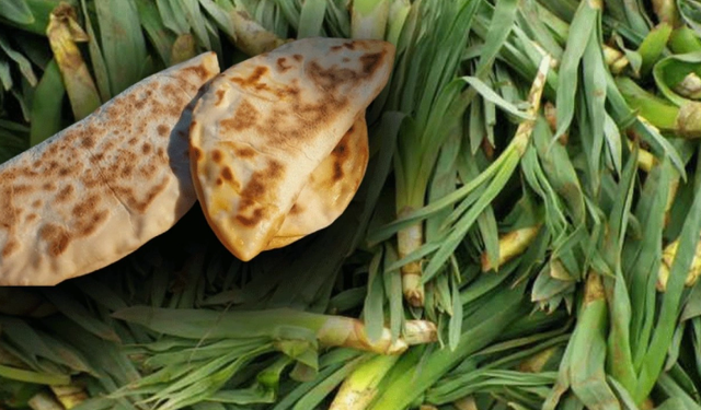 Kahramanmaraş mutfağının mucize bitkisi