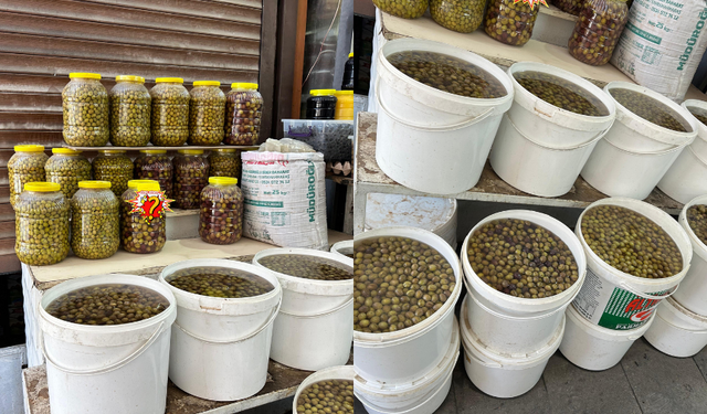 Kahramanmaraş’ta doğal salamura zeytin bu fiyata satılıyor