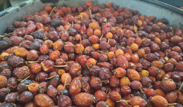 Kahramanmaraş’ta Kış Kapıda, Kuşburnu Tezgahlarda