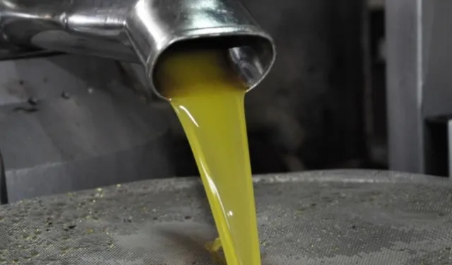 Maraş zeytinyağı mı, Hatay zeytinyağı mı? Hangi yağ daha iyi