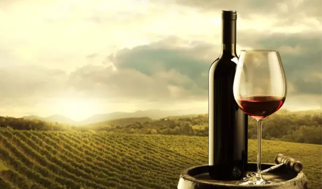 Kahramanmaraş’ta şarap üretiliyor mu?