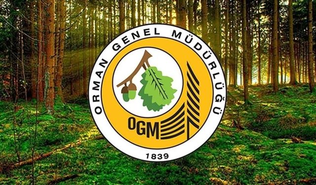 Orman Genel Müdürlüğü 496 Personel Alacak