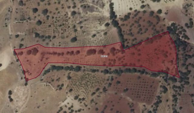 Kahramanmaraş’ta 10 dönüm bağ icradan satışa çıktı