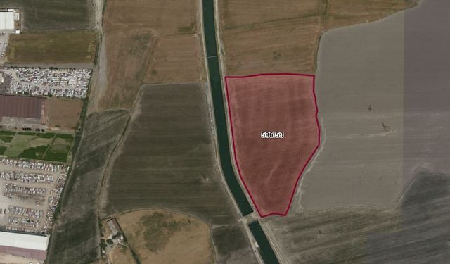 Kahramanmaraş’ta 56 Milyonluk tarla satılıyor