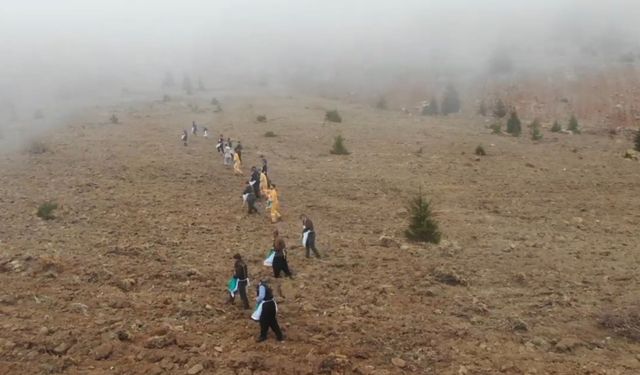 Kahramanmaraş’ta 110 hektar alana tohumlar serpildi