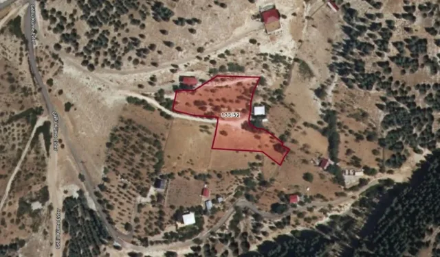 Yedikuyular mevkiinde milyonluk bağ satışa çıktı