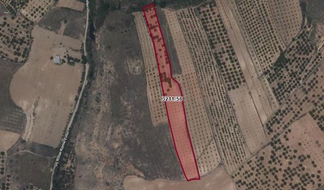 Kahramanmaraş’ta kayısı bahçesi satılıyor