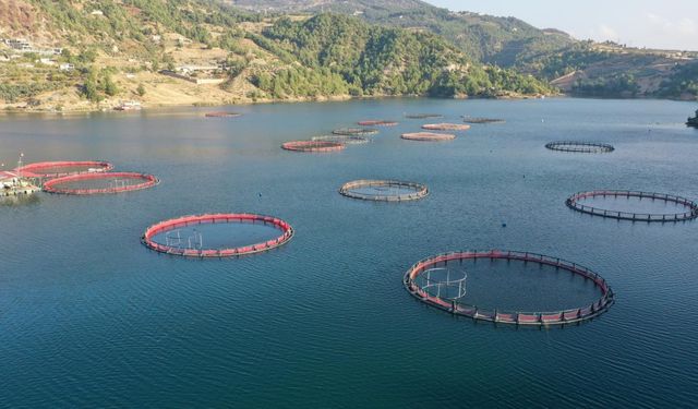 Sözleşmeli Üretimde Kapsam Genişledi