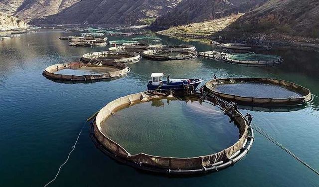 Kahramanmaraş, Su Ürünlerinde Gücünü Dünyaya Kanıtlıyor