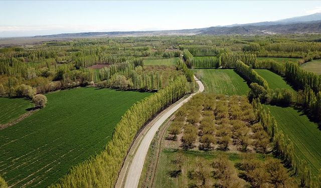 Kahramanmaraş’ta 2B arazileri için tapu yolu açılıyor