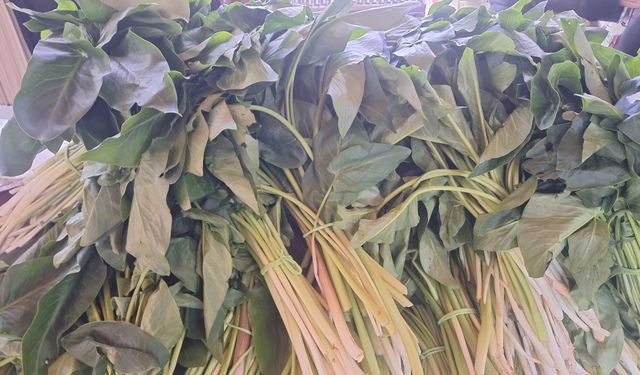 Kahramanmaraş’ın şifalı lezzeti tirşik otunun fiyatı ne kadar?