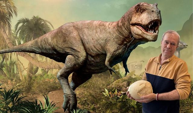 Kahramanmaraş’ta Dinozor Yumurtası Bulundu