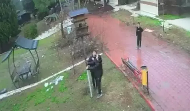 Kuş yuvasını parçalayan çocuklara ev hapsi