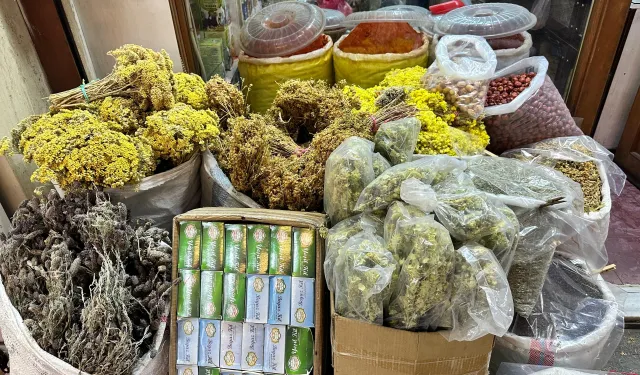 Kahramanmaraş’ın ünlü bitki çayı yüzünü gösterdi