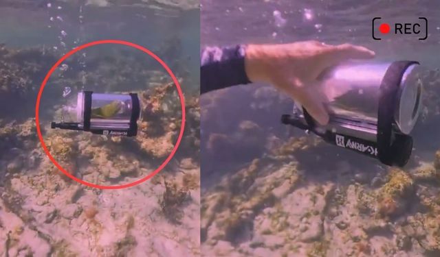 Bir kişi papağanı İçin mini denizaltı yaptı, Tıkla İzle!