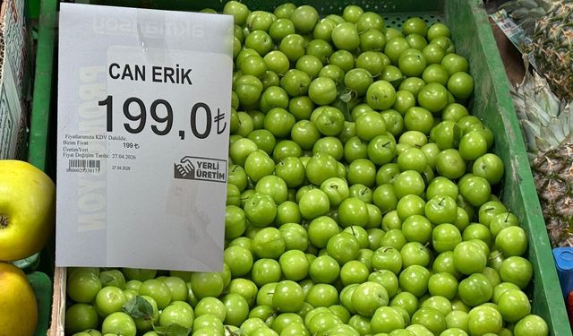 Kahramanmaraş’ta Erik Fiyatları Yarı Yarıya Düştü