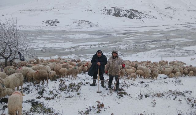 2 çoban ve yaklaşık 650 küçükbaş hayvan yaylada mahsur kaldı