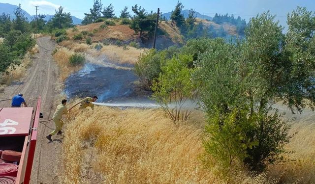 Kahramanmaraş’ta bahçe yangını kontrol altına alındı