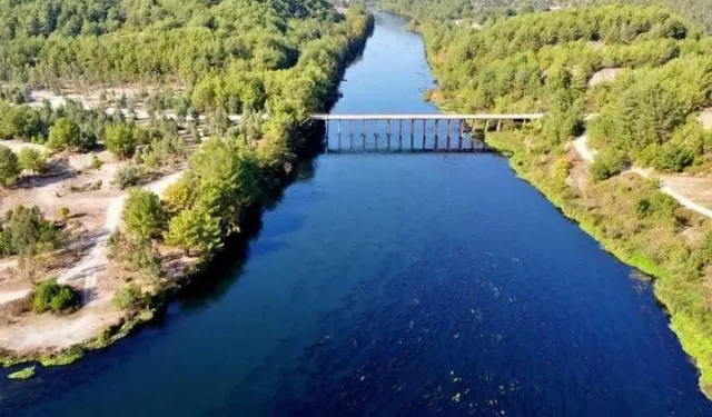 Kahramanmaraş’ın en uzun nehri Çukurova’ya can veriyor
