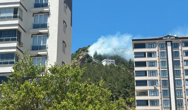 Kahramanmaraş'ta çıkan orman yangını söndürüldü