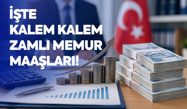 İşte kalem kalem zamlı memur maaşları!