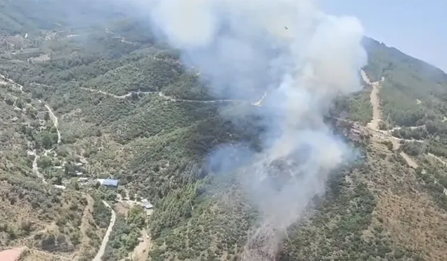 Antalya ve Kütahya'da çıkan orman yangınına havadan ve karadan müdahale ediliyor