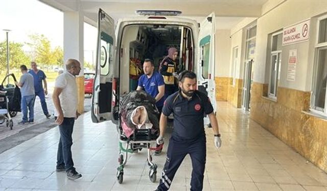 Hayvan otlatırken ayının saldırısına uğrayan çoban yaralandı