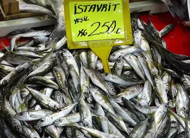 Av yasağı başladı, balık fiyatları arttı