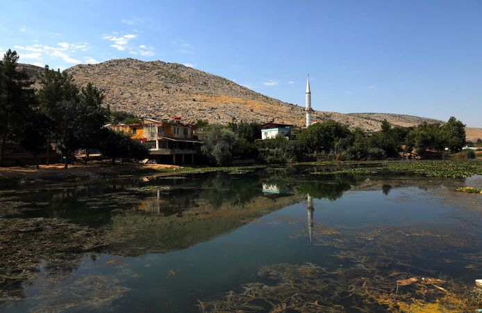 Kahramanmaraş’ın gizli cenneti; nilüfer gölleri