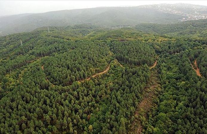 Kahramanmaraş’ta Ormanlara Giriş ve Ateş Yakmak Yasaklandı