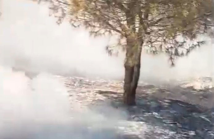 Kurtlar TOKİ’de Trafo Patlaması Orman Yangınına Neden Oldu