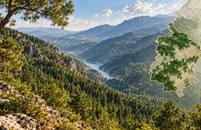 Kahramanmaraş’ın Orman Varlığı Dikkat Çekti