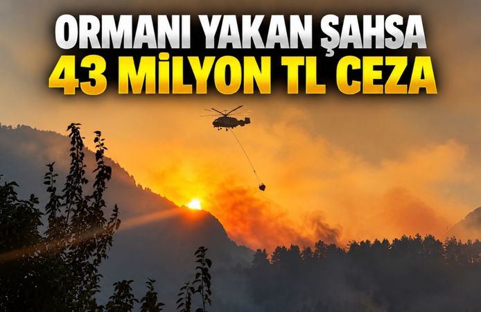 Kahramanmaraş’ta Ormanı Yakan Şahsa 43 Milyon TL Ceza