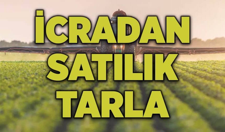 Kahramanmaraş Türkoğlu'nda 10704 metrekare tarla ihale ile satılacak