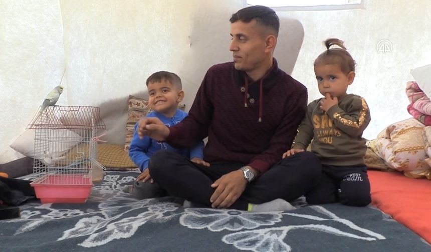 Enkazdan kurtarılan muhabbet kuşu ailenin moral kaynağı oldu