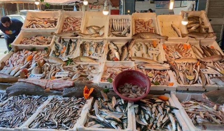 Akdeniz'de av yasağı kalktı, balık fiyatları yüzde 80 düştü