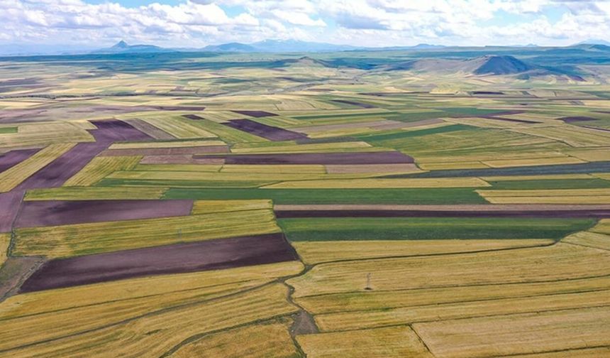 Kahramanmaraş’ta 2 tarla ve 1 arsa satışa çıkıyor