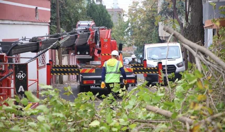 Dulkadiroğlu Belediyesi’nden Yeşil Alanlara Tam Destek