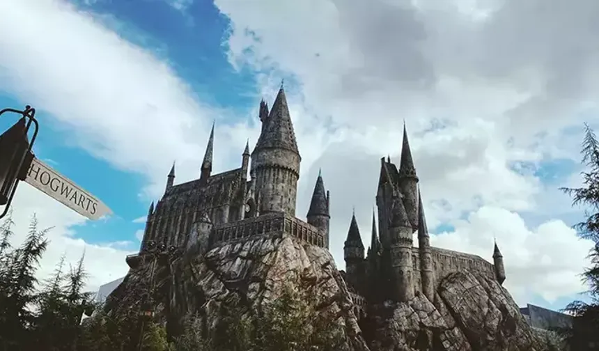 Harry Potter dizisinin oyuncu kadrosu açıklandı
