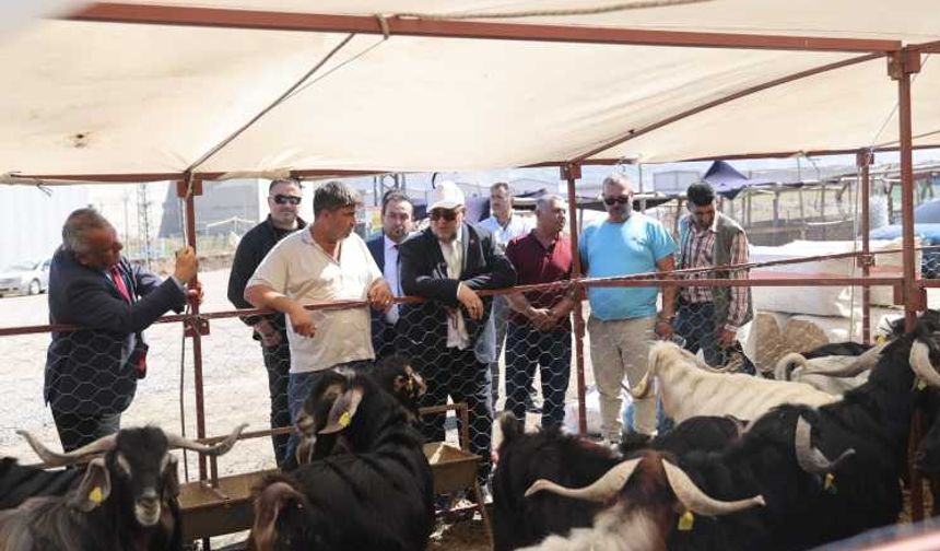 Başkan Akpınar, Geçici Hayvan Satış Noktasını Ziyaret Etti