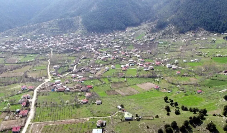 Kahramanmaraş’ta milyonluk taşınmazlar satışa çıktı