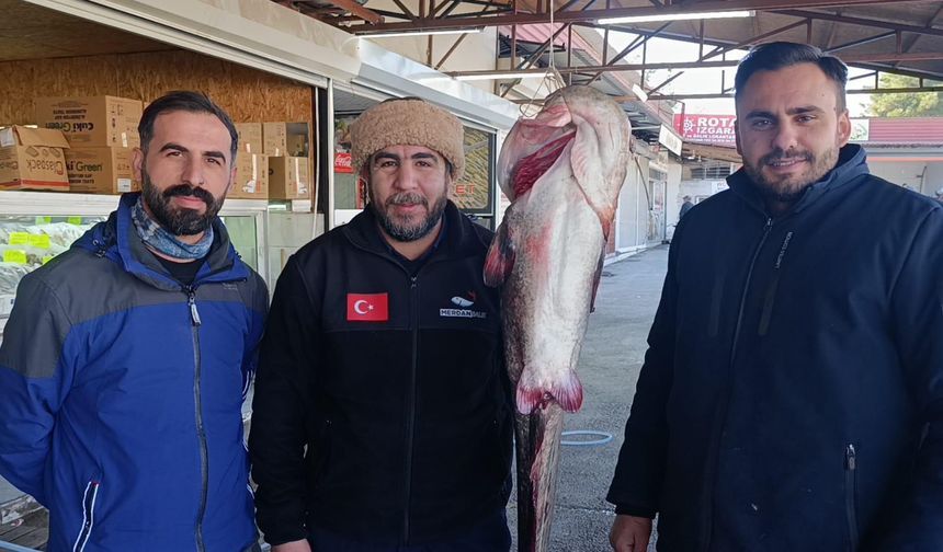 Kahramanmaraş’ta 2 Metrelik, 100 Kiloluk Yayın Balığı Yakalandı