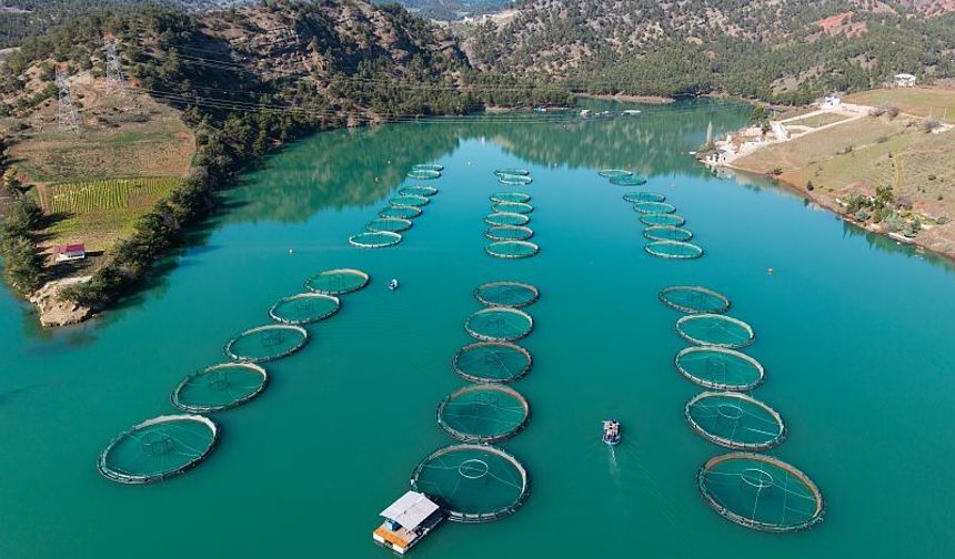 Kahramanmaraş Menzelet Barajı ve Kılavuzlu Barajı