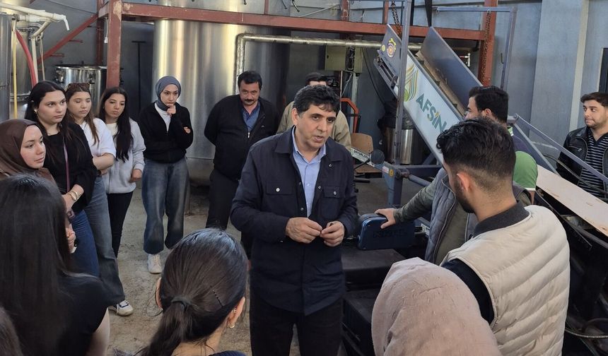 KSÜ Öğrencileri Teorik Bilgilerini Sahada Pratiğe Dönüştürdü